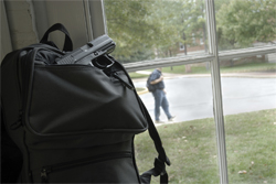 School Gang Training: Gangs and School Safety