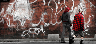 Gangs and School Safety