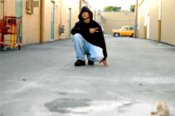 Gangs and School Safety